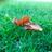 zubair_liaqat