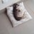 David_Reyes54