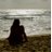 ali_travelcat