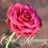 FAREED6432