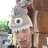 Normand_Nadon