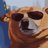puppy_jpg