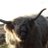 MRCHR1STIAN