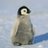 TOM_ALVARO3945