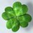LuckyHappens