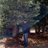 utkarsh_saxena2