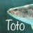 Toto1one