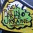 Remy_pilote