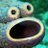 drfishtaco