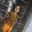 anurag14081994