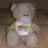 SaraSQL23
