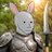 MrCryptoRabbit7