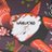 haalkab_oficial