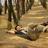 mahesh_ex1