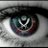 donnamitch73