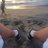 marco_cintra