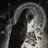 Ophiophiliac
