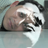 The_Damnthing_