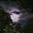 MayhemMoonlight