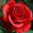 Pilar_Rmi