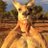 BarryGrayAussie