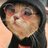 Lisy_GDL