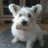 david_tofield