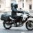 ardillaenmoto