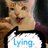 LyingCat7