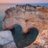 ines_lehaire