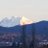 BrentBu02012931