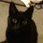 Neddy211