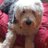 hallam_paula