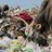 GarbageDotNet