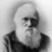 DarwinSempreTem