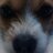 Ferdy8821