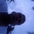 efrediaz