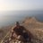 walid_a_hamed