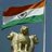 ashishdadhich91