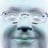 dr_draycott