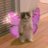 kit_kattys