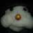 joid62