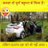 Satvinder35