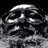 buddy_runyan