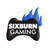 sixburngaming