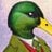 thedapperduck2
