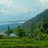 arif_sheen