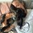 Rebecca_Coyne