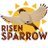 Risen_Sparr0w