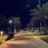 bi_alharbi